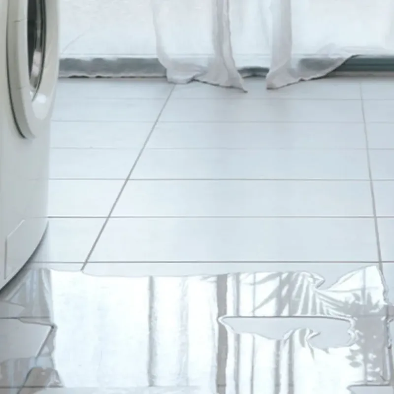 Appliance Leak Cleanup in Greenville, GA