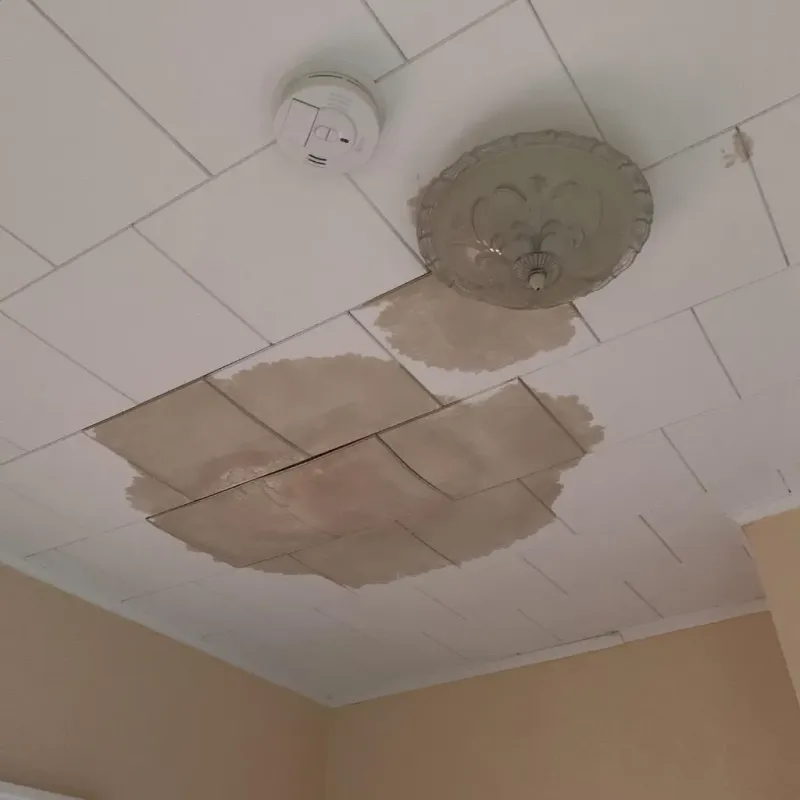 Ceiling Water Damage Repair in Greenville, GA